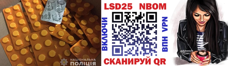 где найти наркотики  Апатиты  ЛСД экстази ecstasy 