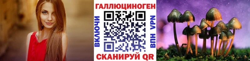 OMG ТОР  Апатиты  Псилоцибиновые грибы прущие грибы 